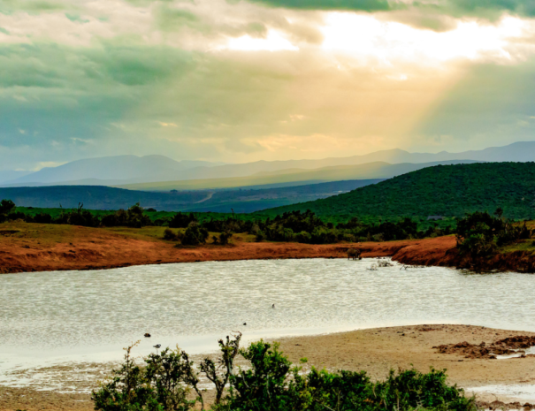 addo