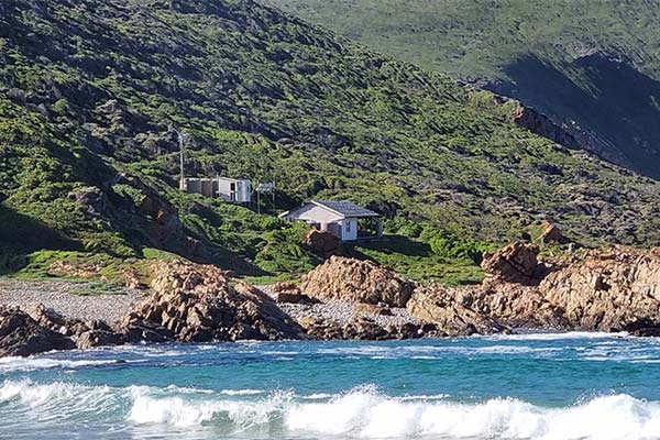 Plett1